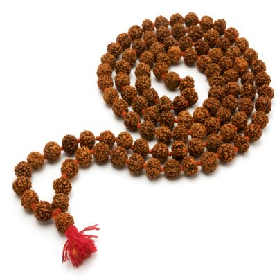 RUDRAKSHA